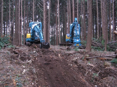 補助制度を利用した山林活用の実践　その４