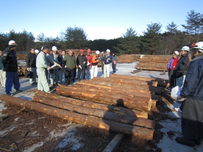 県北木材協同組合　那珂川工場にて　木材受入準備始まる